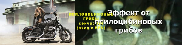 каннабис Пересвет