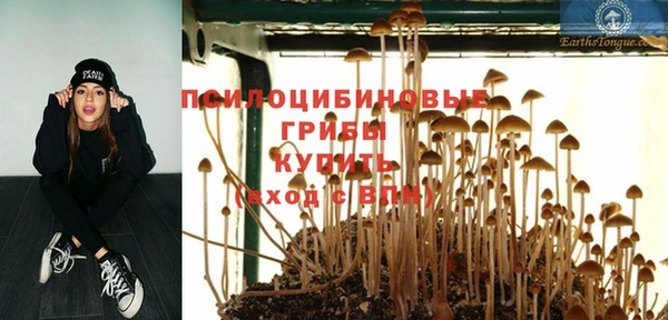 круглые Пестово