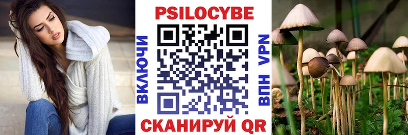 купить   Новоалександровск  Псилоцибиновые грибы прущие грибы 