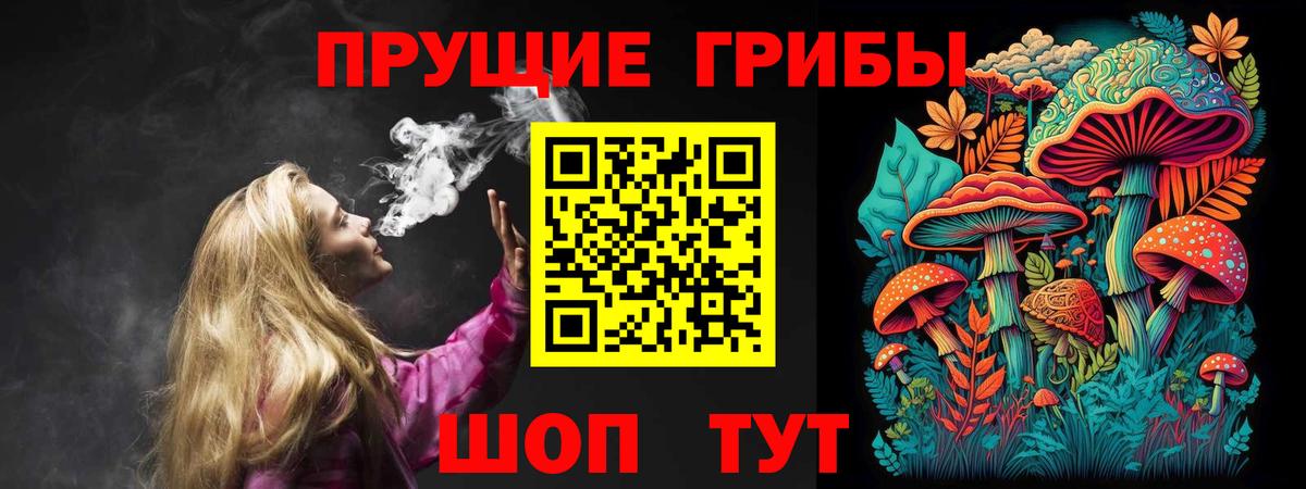 Новоалександровск  Галлюциногенные грибы Cubensis  Вход с VPN  Псилоцибиновые грибы Cubensis 